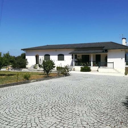 Casa Dos Lacos Viseu Buitenkant foto