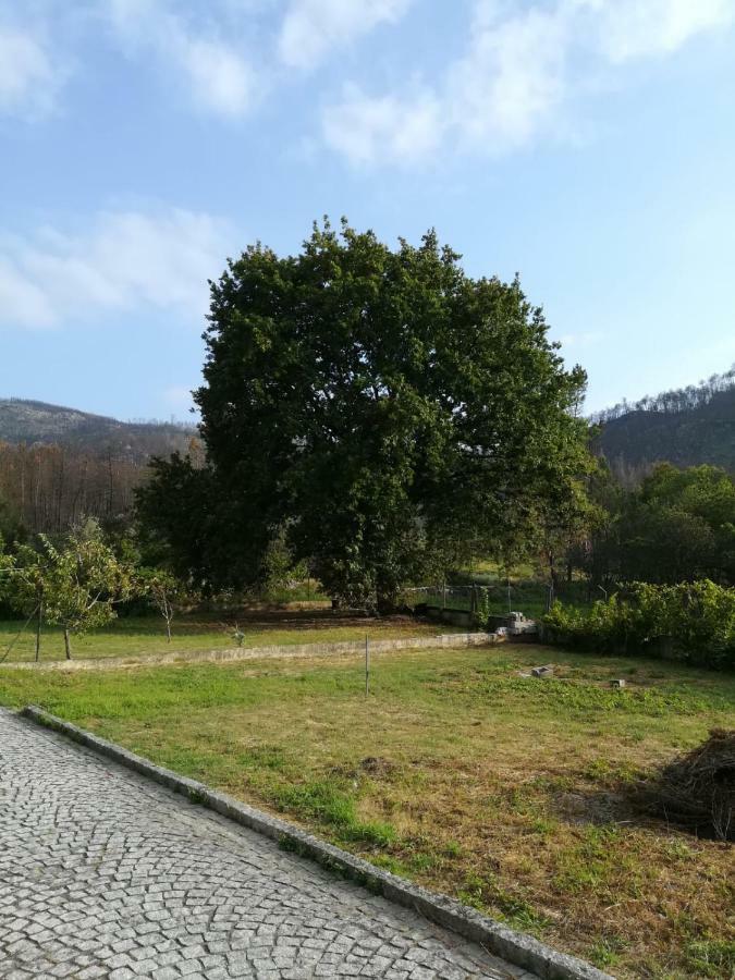 Casa Dos Lacos Viseu Buitenkant foto